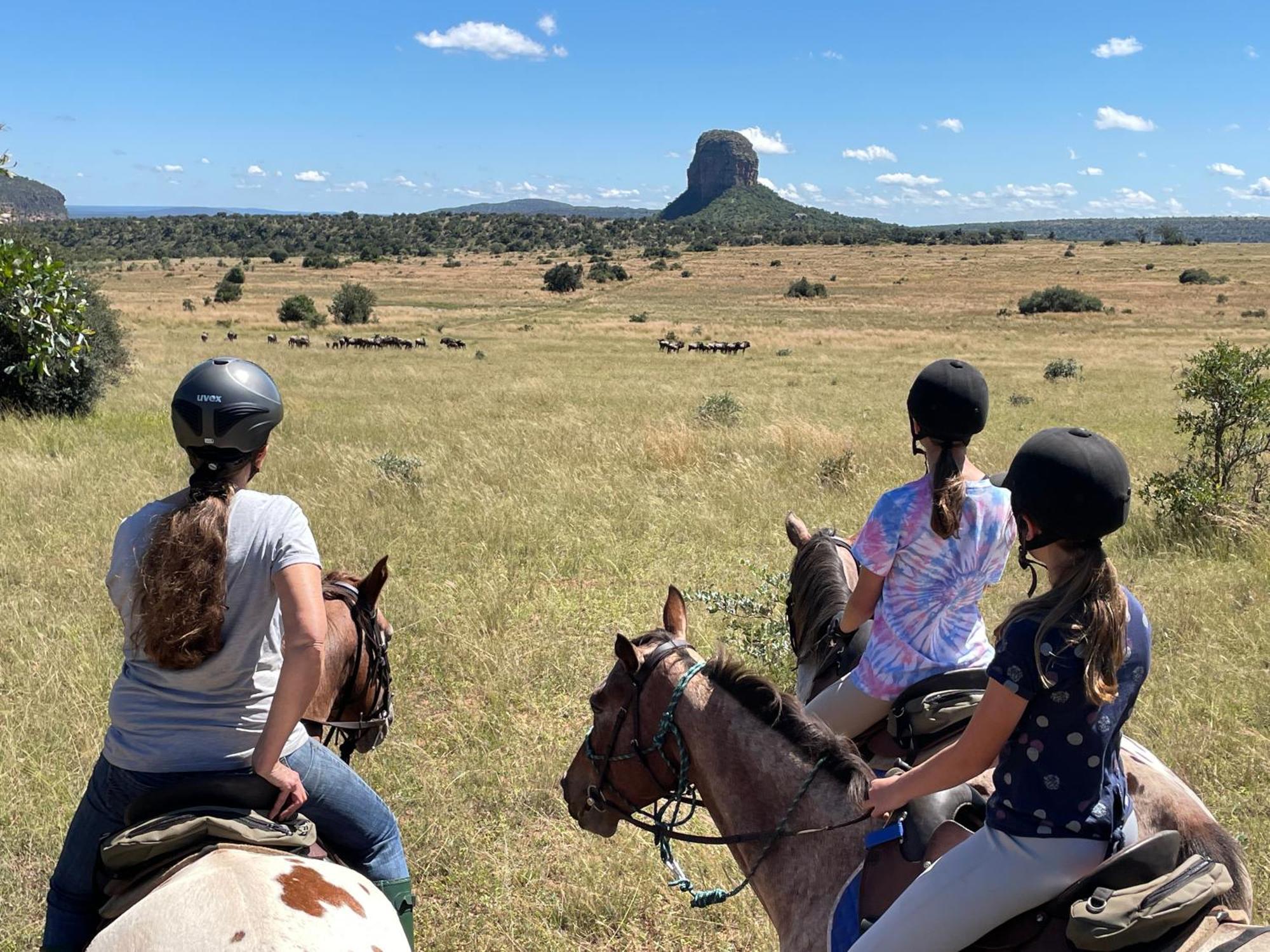 Entabeni Mountain Lodges Golders Green Buitenkant foto